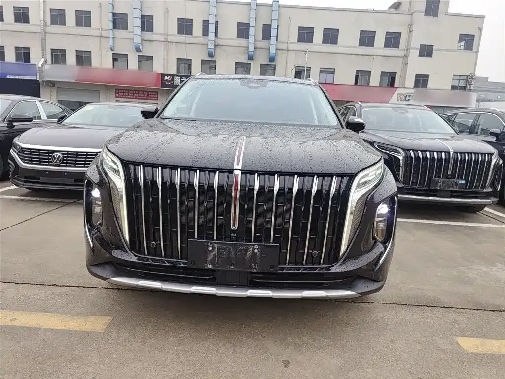 Hongqi HS7 PHEV 2024 из CN, фото 4