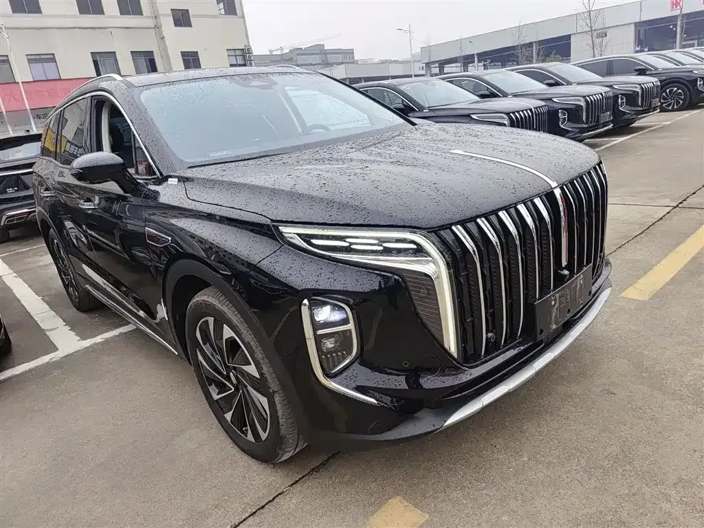 Hongqi HS7 PHEV 2024 из CN, фото 5