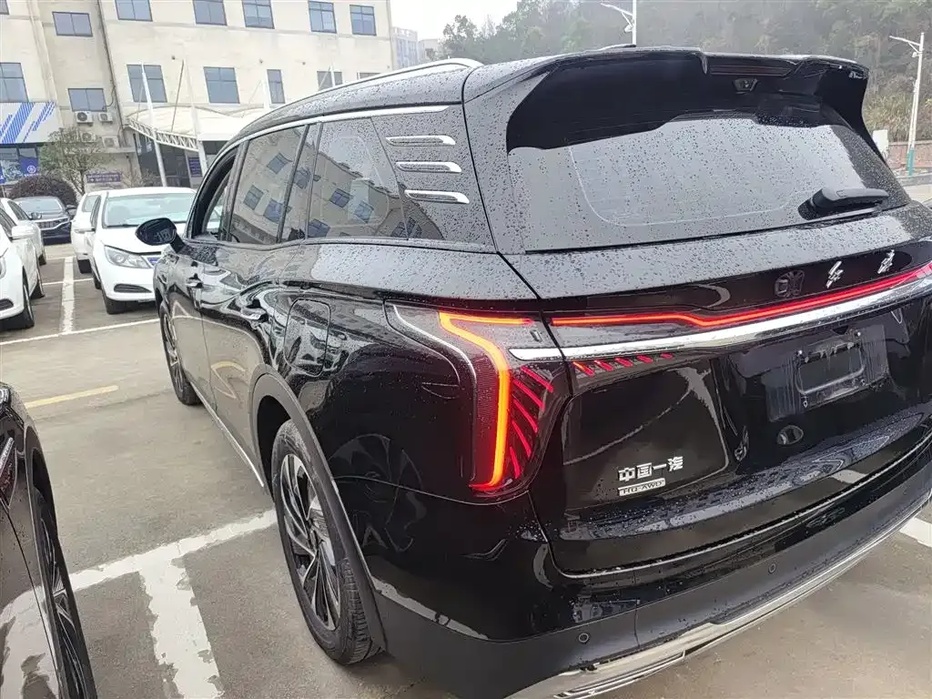 Hongqi HS7 PHEV 2024 из CN, фото 9