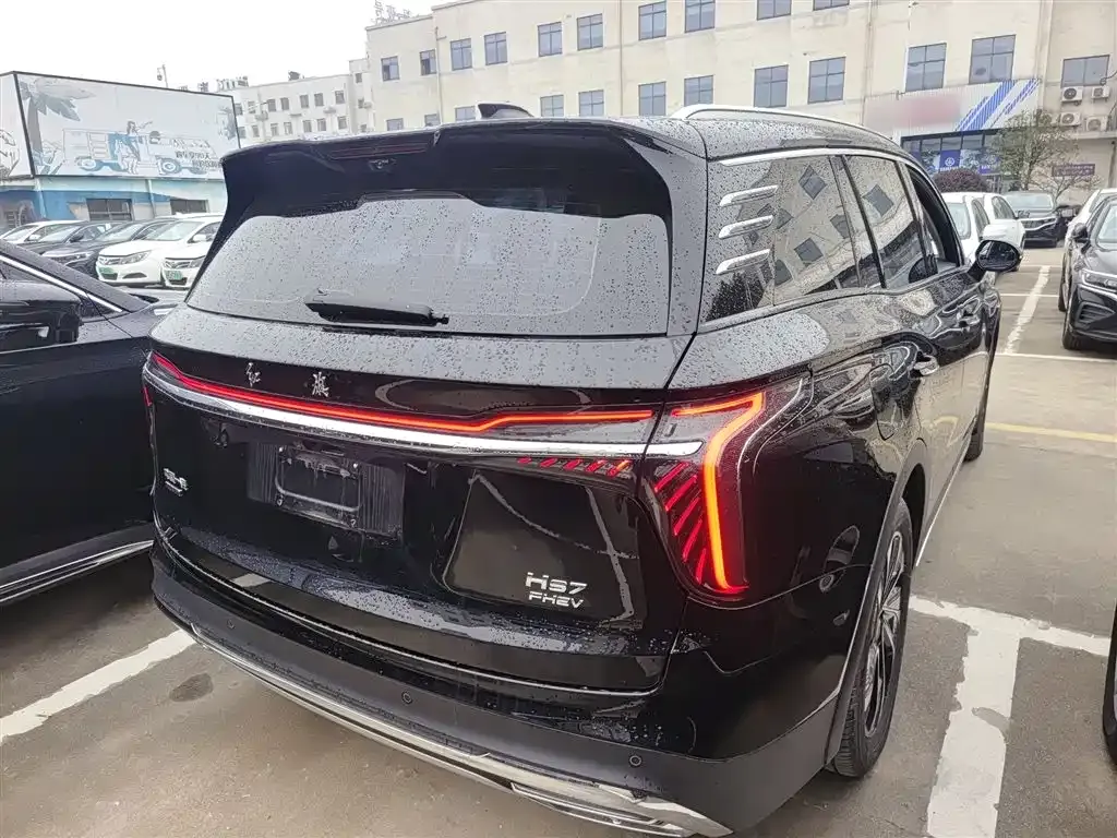 Hongqi HS7 PHEV 2024 из CN, фото 2