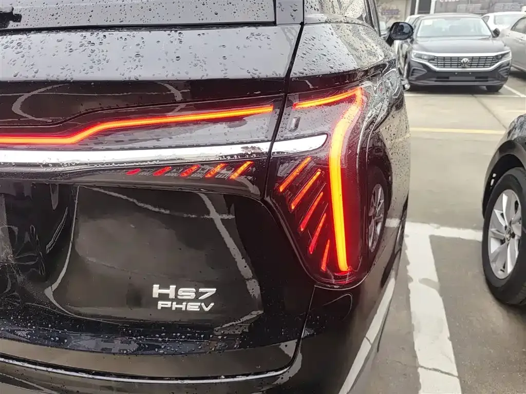 Hongqi HS7 PHEV 2024 из CN, фото 8