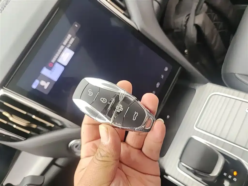 Hongqi HS7 PHEV 2024 из CN, фото 7
