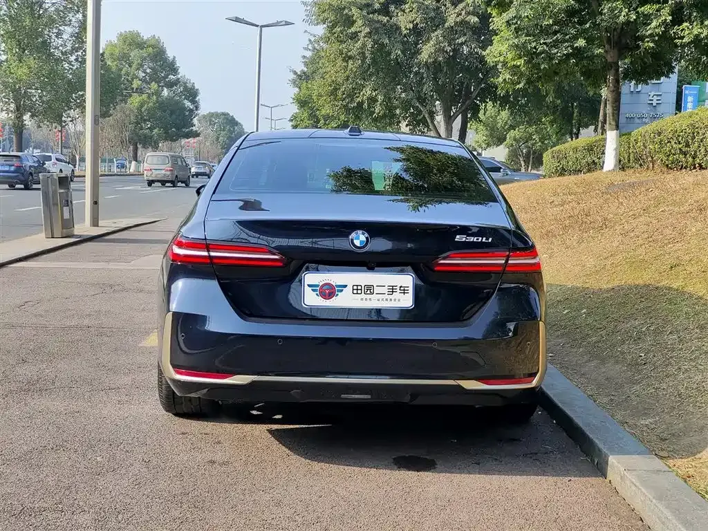 BMW 5 Series 2024 из CN, фото 7