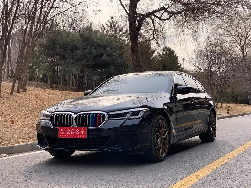 BMW 5 Series 2023 из CN, фото 1