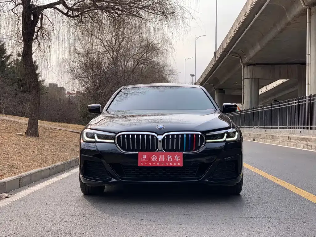 BMW 5 Series 2023 из CN, фото 7