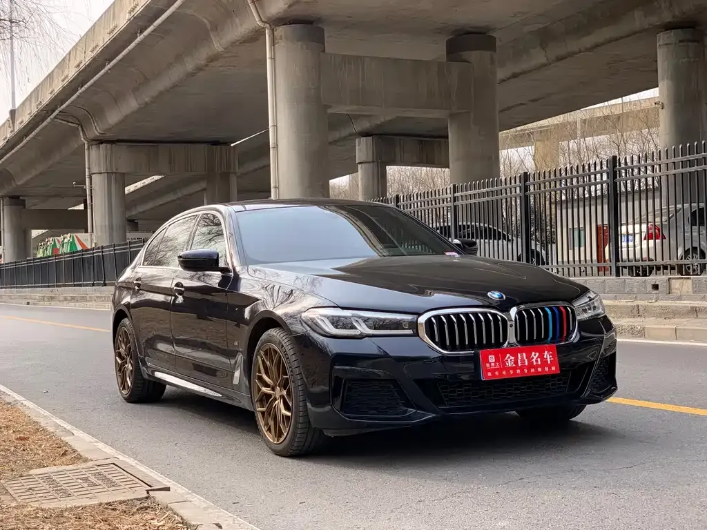 BMW 5 Series 2023 из CN, фото 5