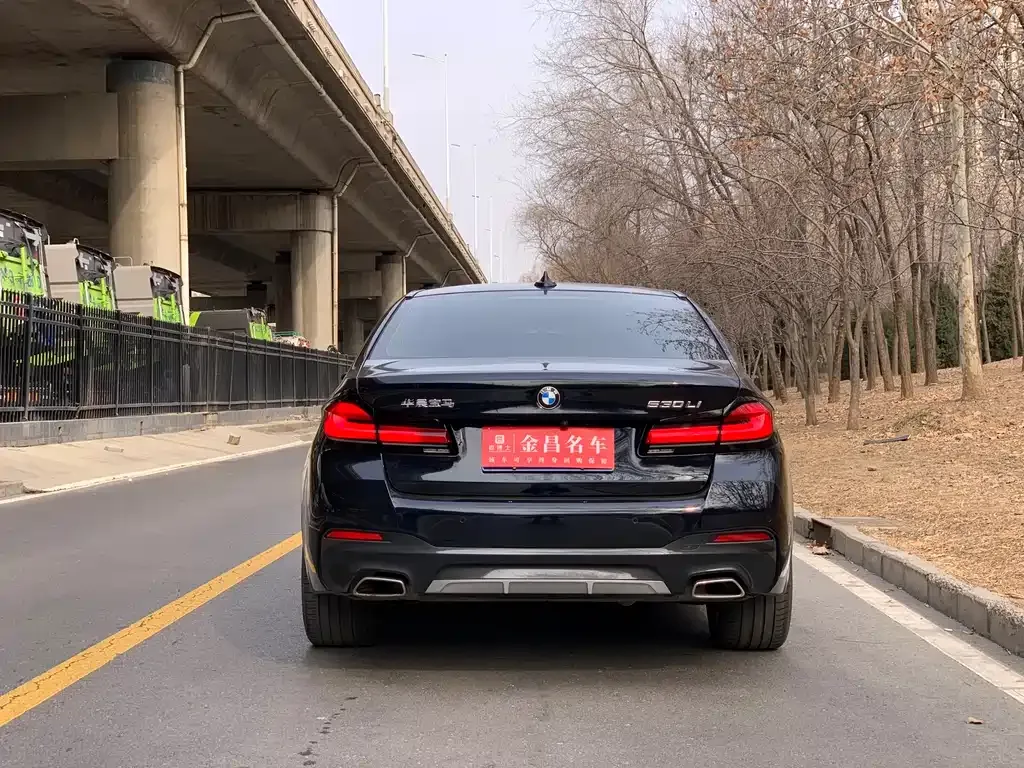 BMW 5 Series 2023 из CN, фото 2