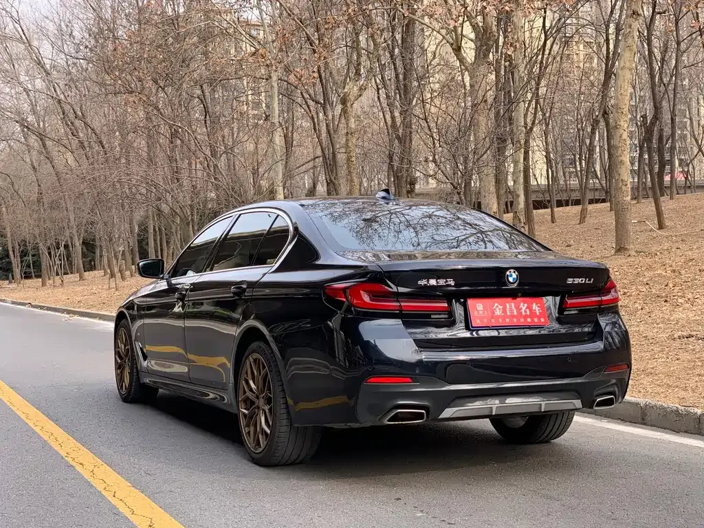 BMW 5 Series 2023 из CN, фото 6