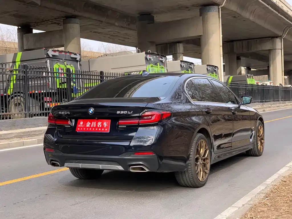 BMW 5 Series 2023 из CN, фото 3
