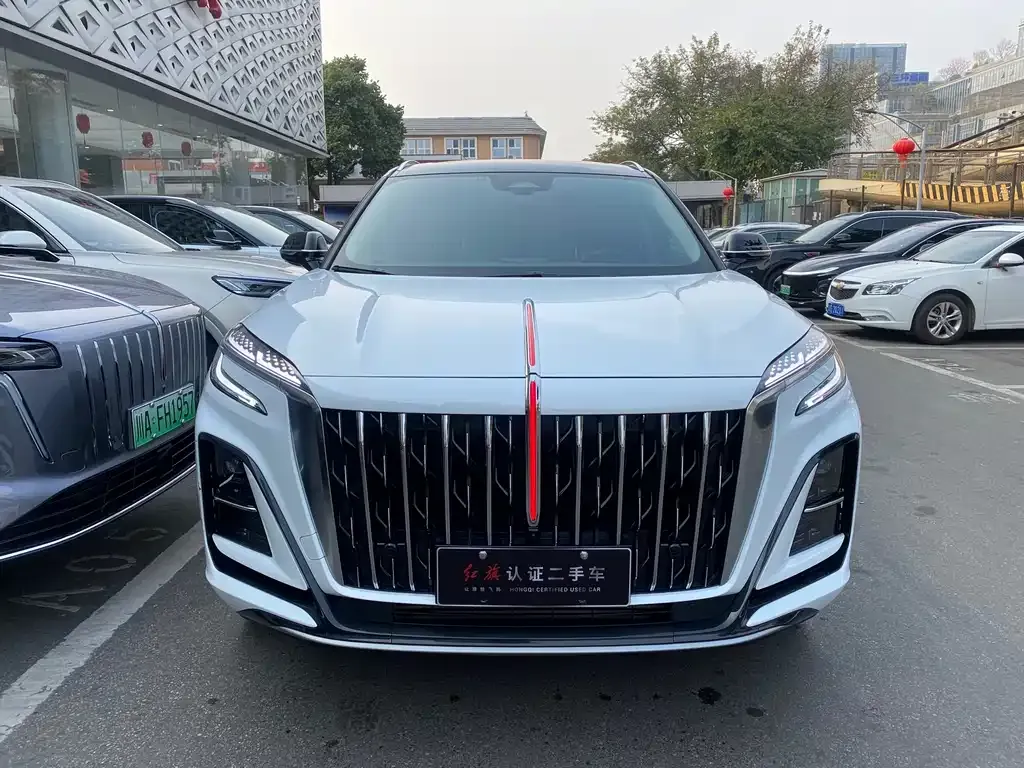 Hongqi HS3 PHEV 2025 из CN, фото 6