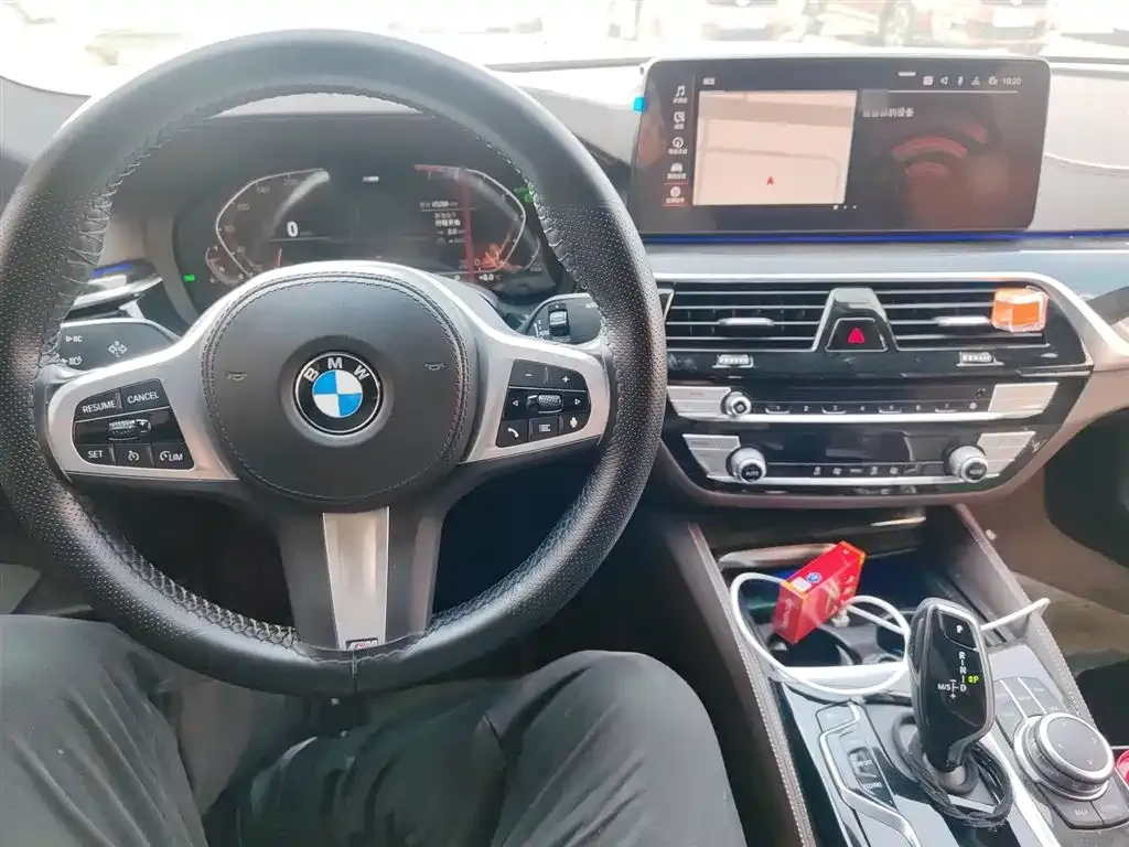 BMW 5 Series 2022 из CN, фото 3