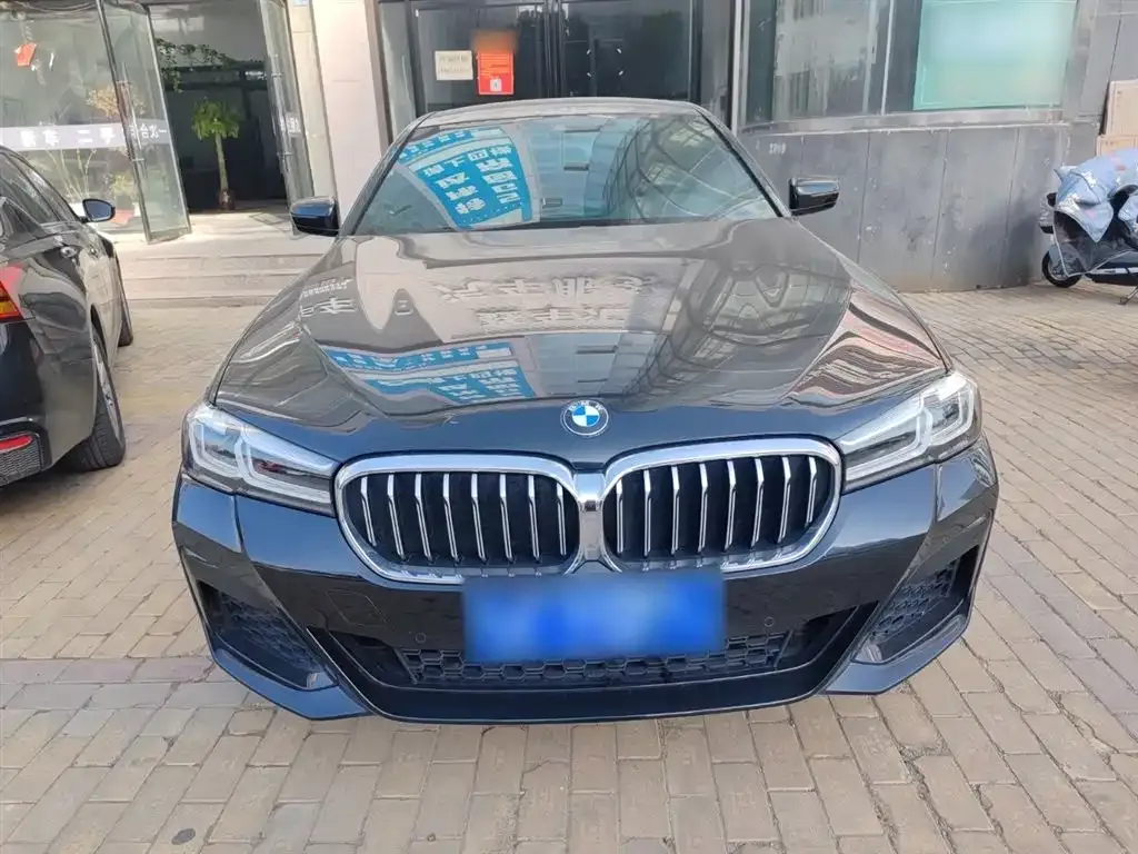 BMW 5 Series 2022 из CN, фото 4