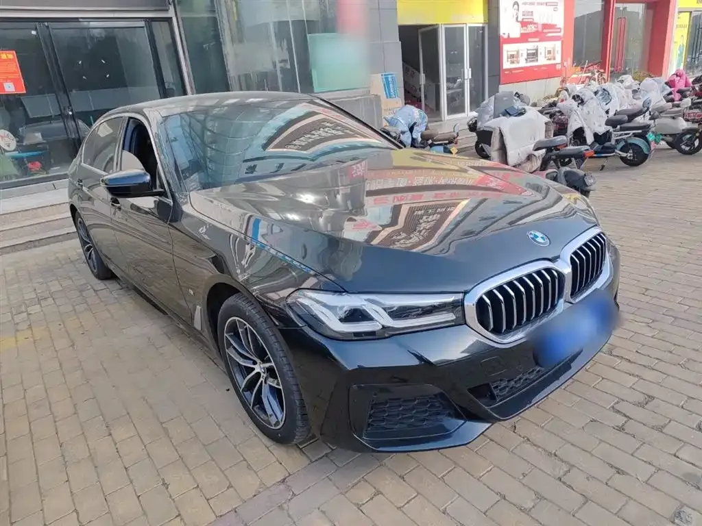 BMW 5 Series 2022 из CN, фото 7