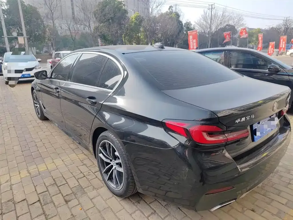BMW 5 Series 2022 из CN, фото 8