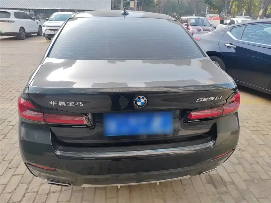 BMW 5 Series 2022 из CN, фото 5