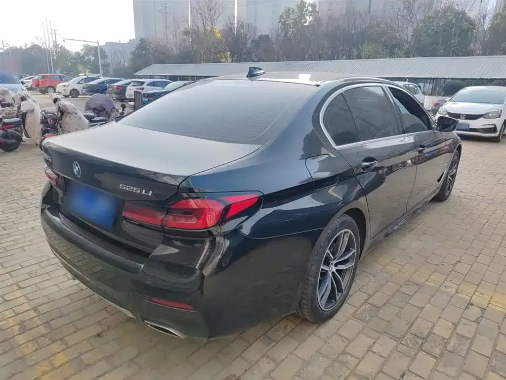 BMW 5 Series 2022 из CN, фото 10