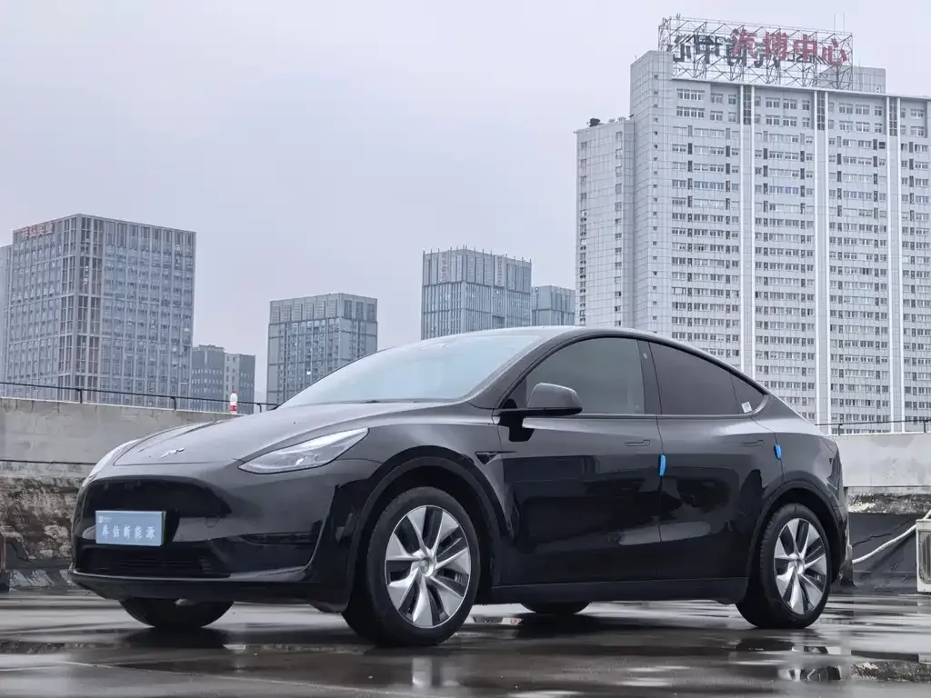 Tesla Model Y 2023 из CN, фото 1