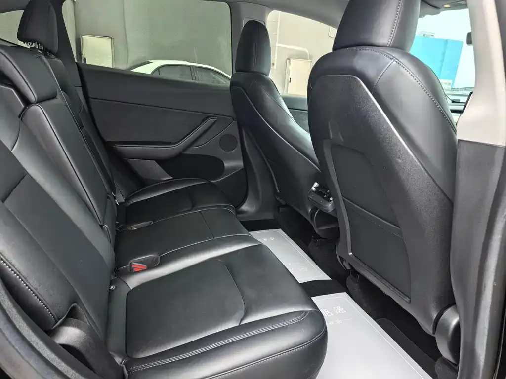 Tesla Model Y 2023 из CN, фото 4