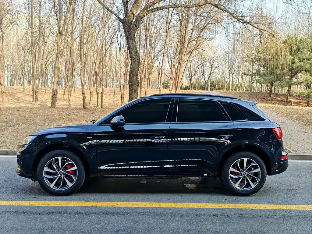 Audi Q5L 2024 из CN, фото 10