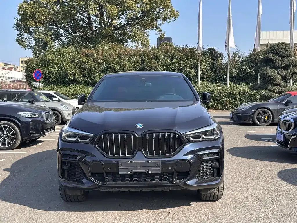 BMW X6 — фото 10