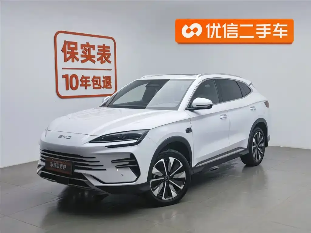 BYD PLUS New Energy — фото 1