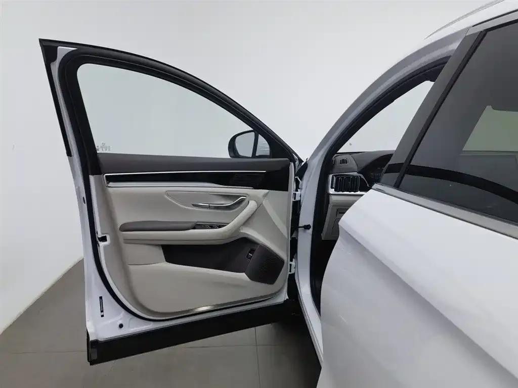 BYD PLUS New Energy — фото 2
