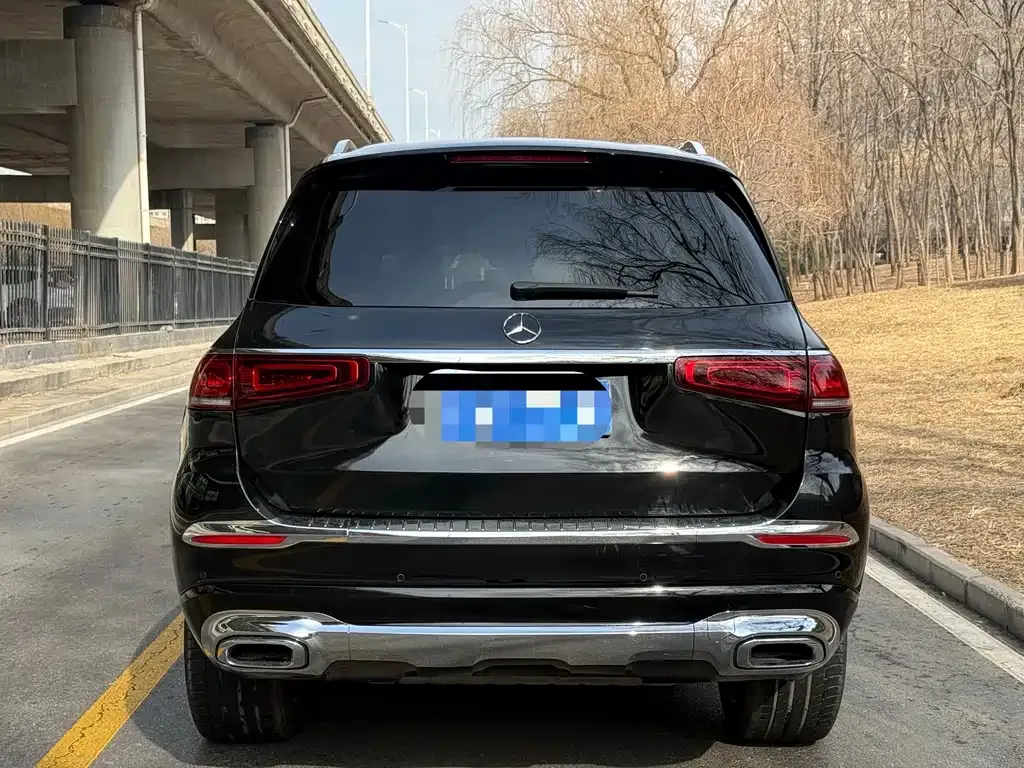 Mercedes-Benz GLS 2021 из CN, фото 4