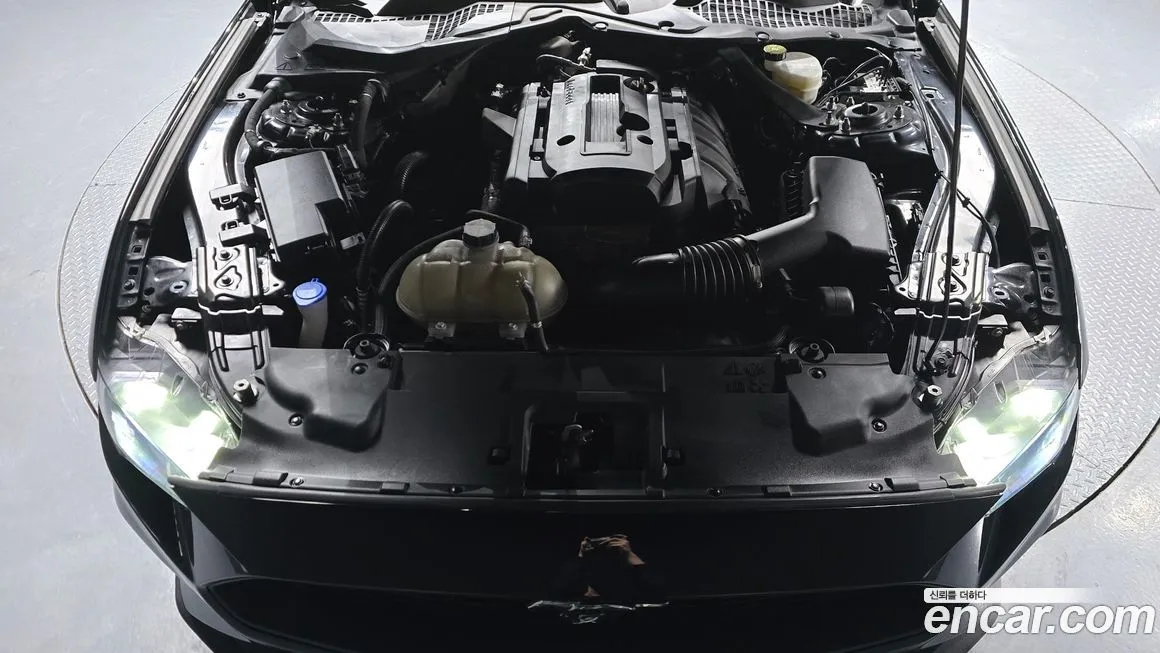 Ford Mustang 2023 из KR, фото 10