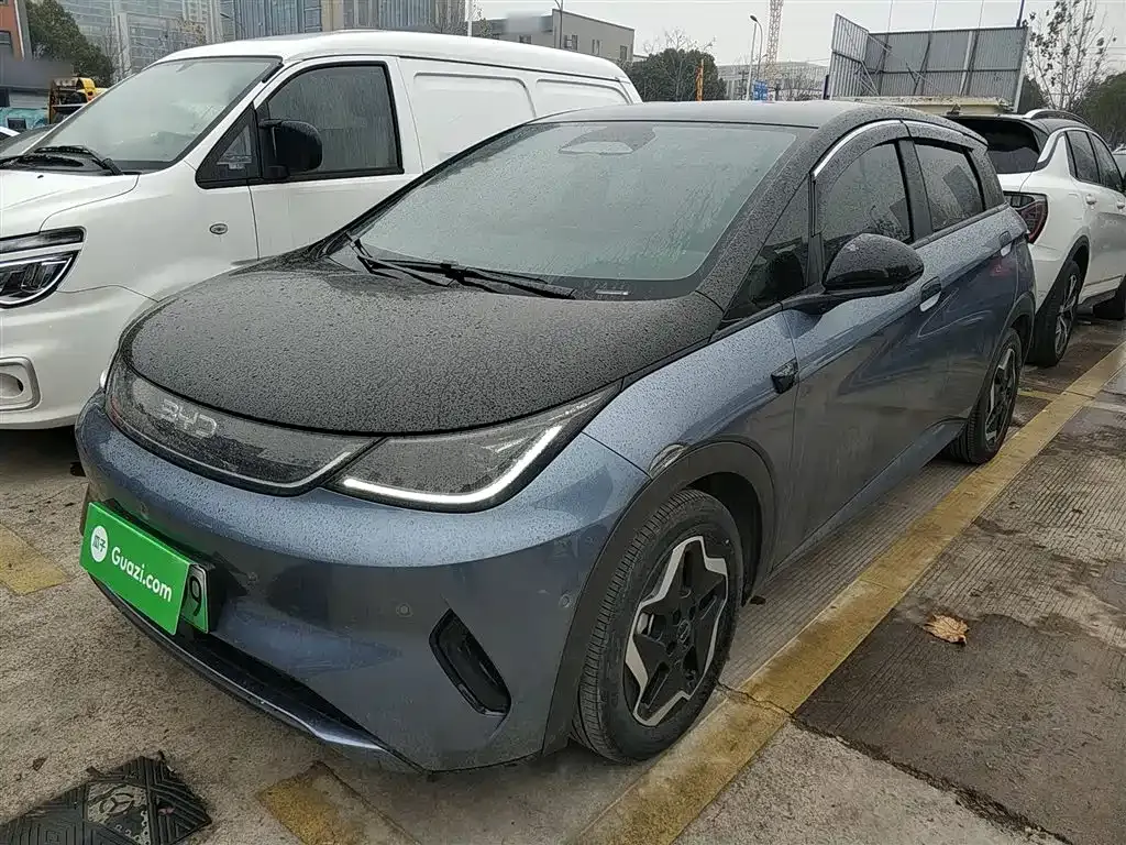 BYD Dolphin 2025 из CN, фото 1