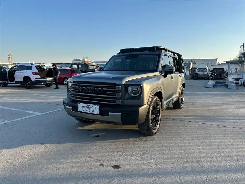 Haval Menglong New Energy 2024 из CN, фото 1