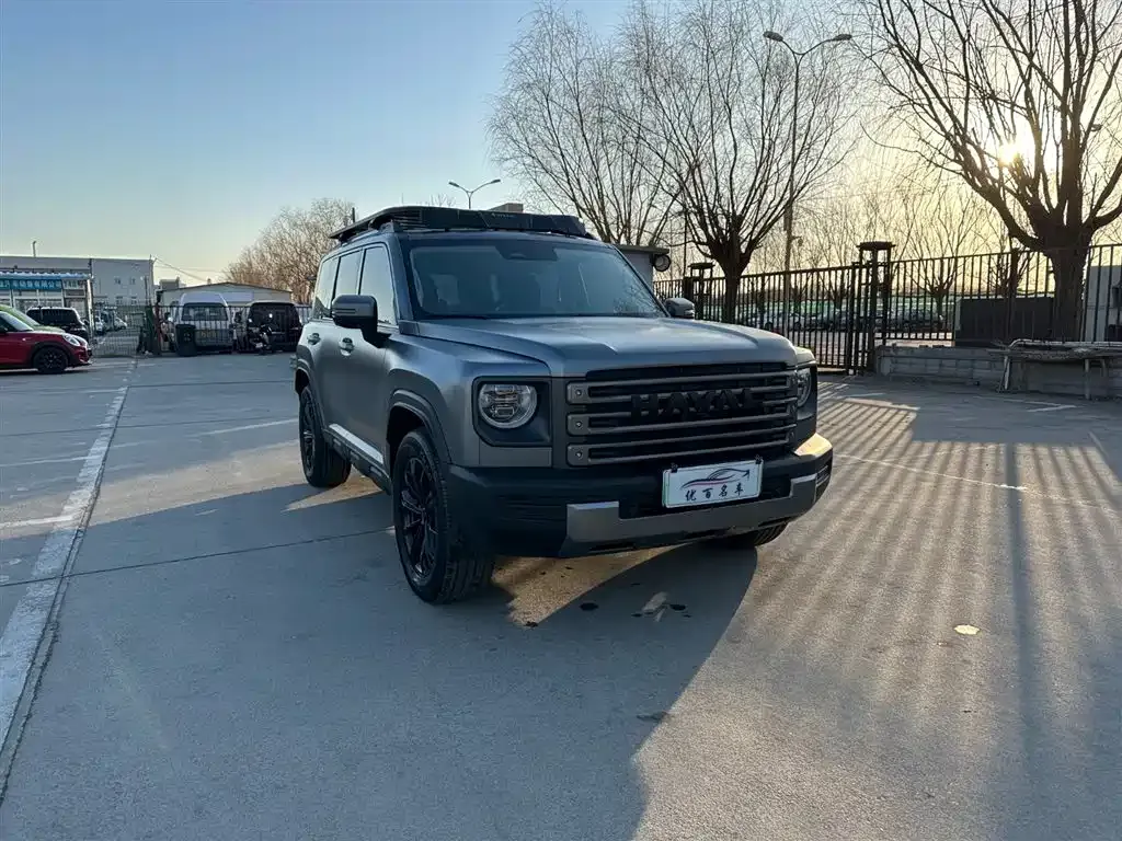 Haval Menglong New Energy 2024 из CN, фото 9
