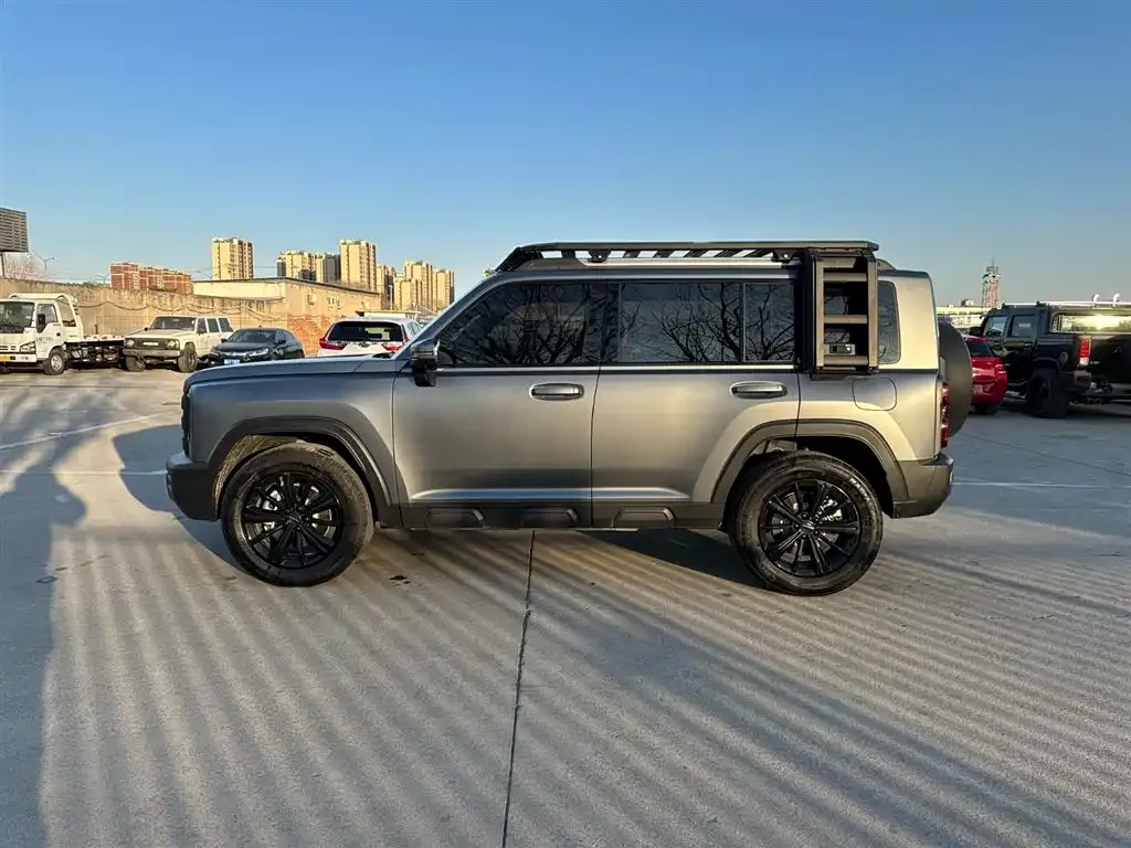 Haval Menglong New Energy 2024 из CN, фото 3