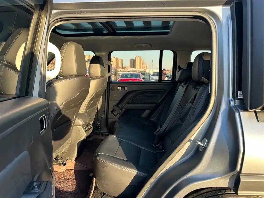 Haval Menglong New Energy 2024 из CN, фото 2