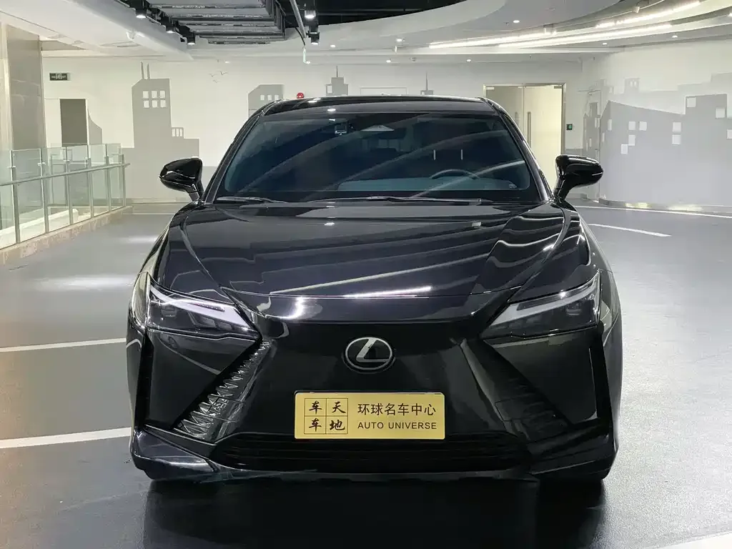 Lexus RZ 2023 из CN, фото 10