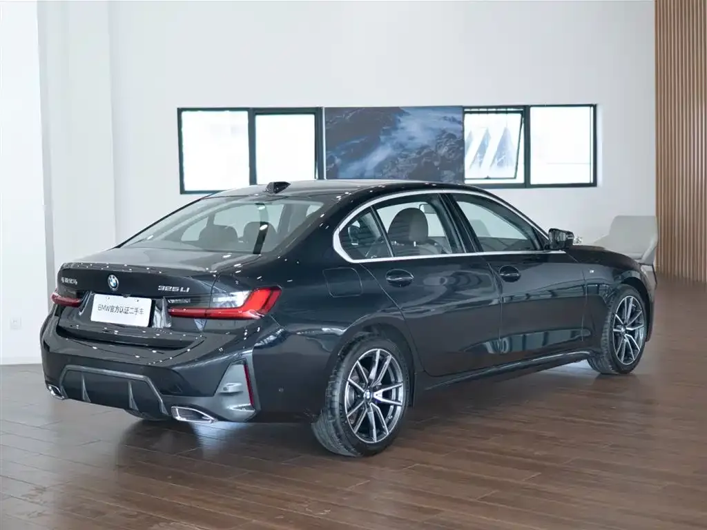 BMW 3 Series 2024 из CN, фото 8