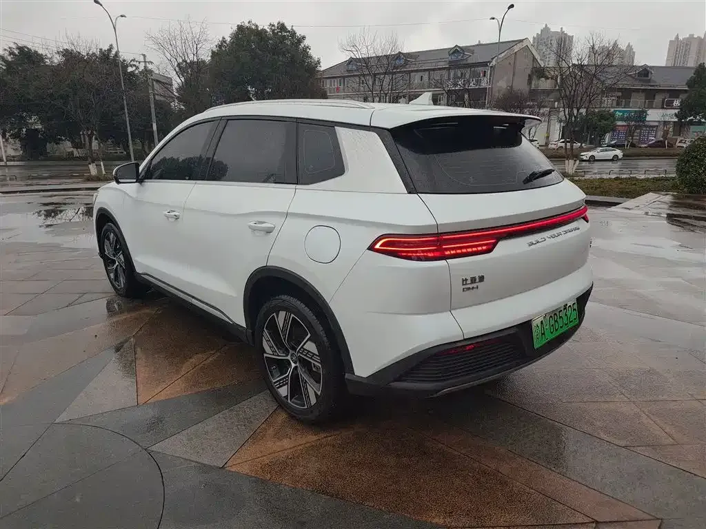 BYD Pro New Energy — фото 8