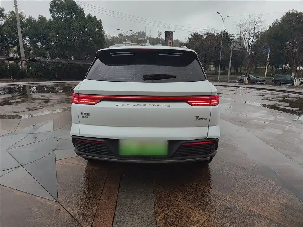 BYD Pro New Energy — фото 2