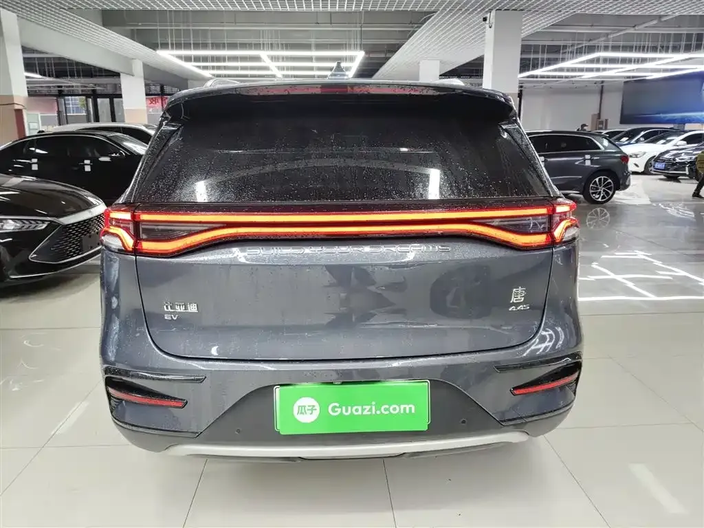 BYD Tang New Energy 2022 из CN, фото 9
