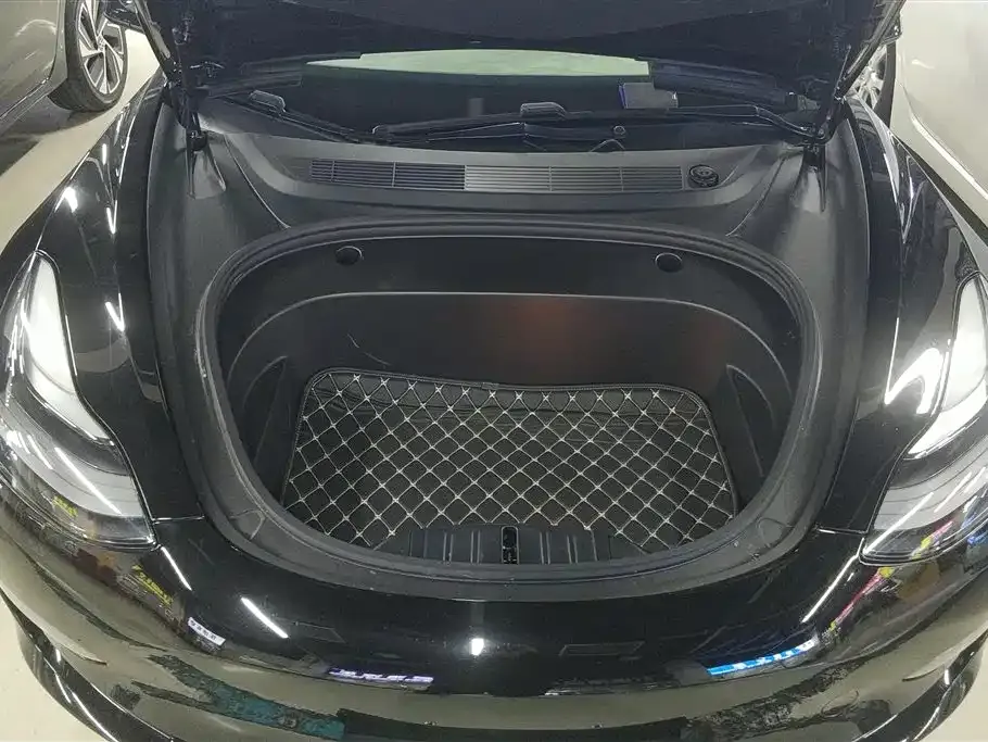 Tesla Model 3 2021 из CN, фото 4