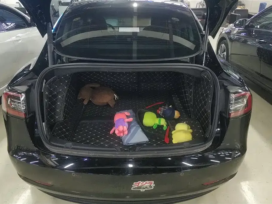 Tesla Model 3 2021 из CN, фото 9