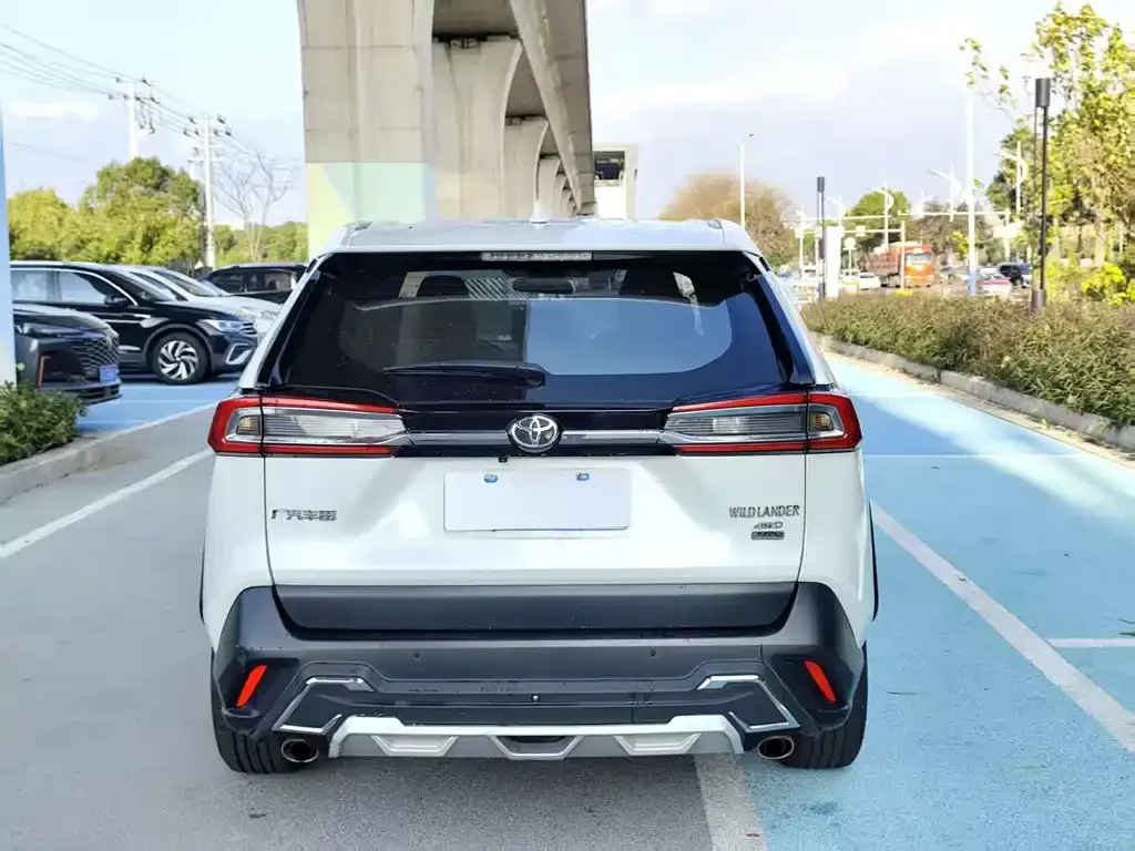 Toyota Wildlander 2022 из CN, фото 6