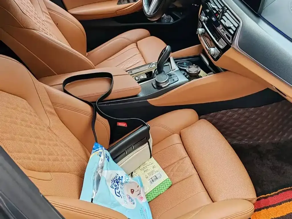 BMW 5 Series (Import) 2022 из CN, фото 6