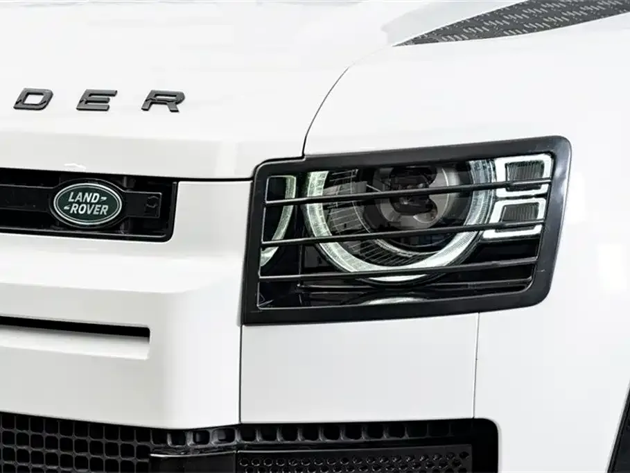 Land Rover Defender 2022 из CN, фото 2