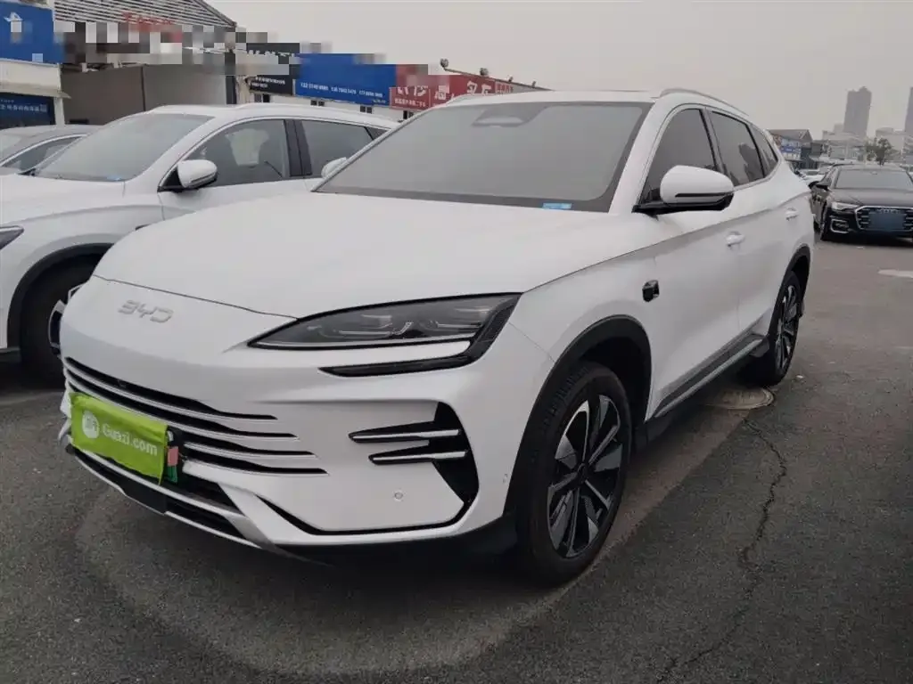 BYD PLUS New Energy 2025 из CN, фото 1