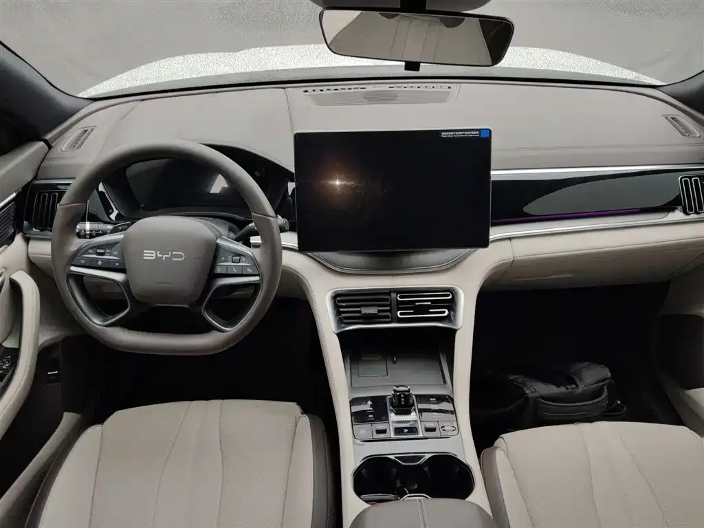 BYD PLUS New Energy 2025 из CN, фото 8
