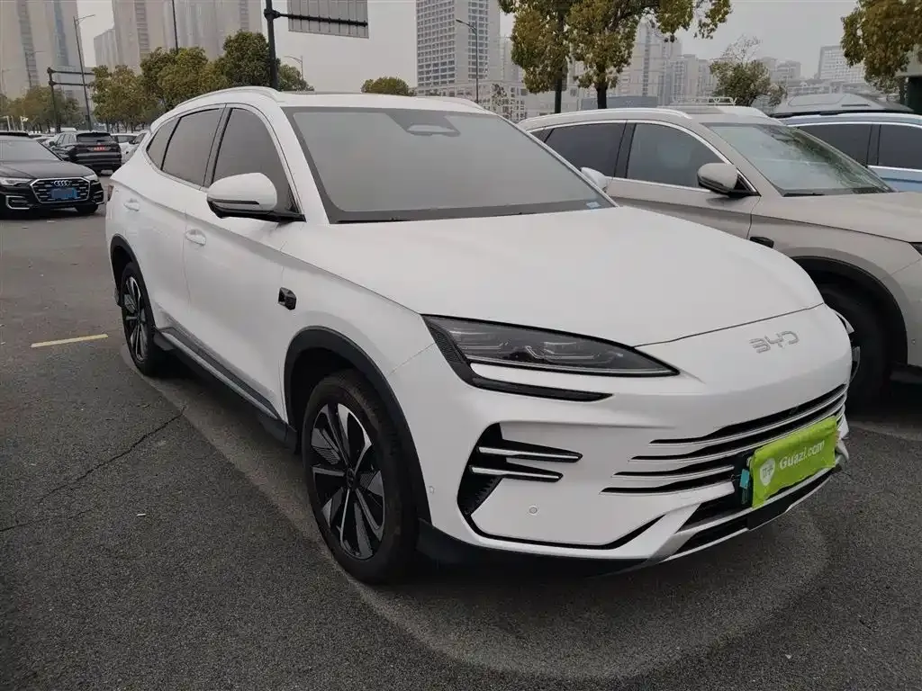 BYD PLUS New Energy 2025 из CN, фото 10