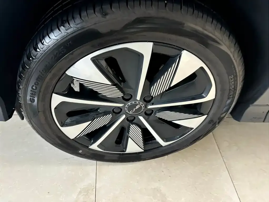 BYD PLUS New Energy 2025 из CN, фото 4