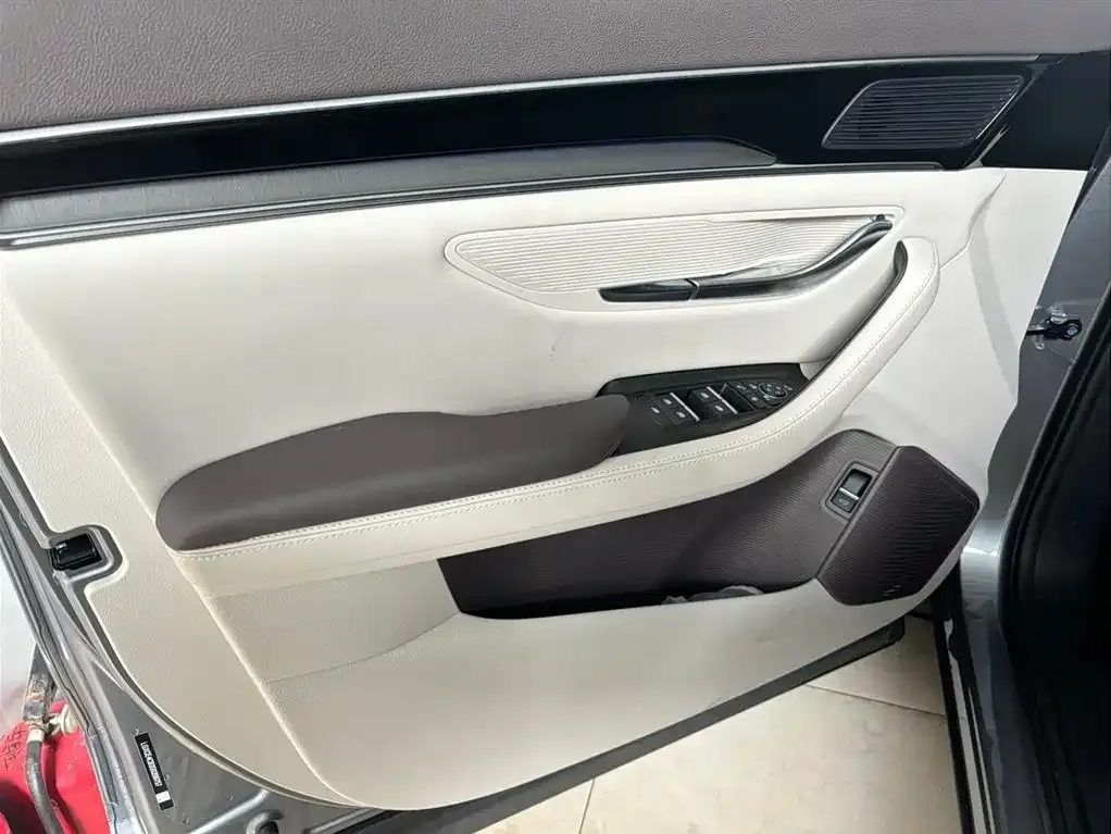 BYD PLUS New Energy 2025 из CN, фото 2