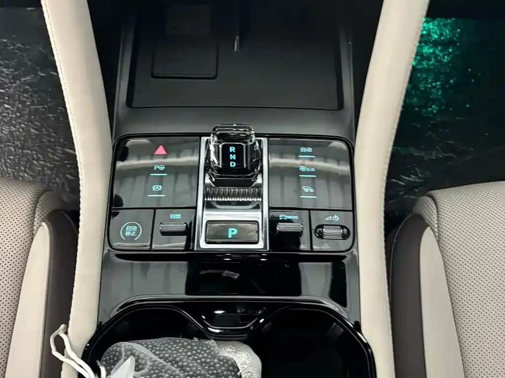 BYD PLUS New Energy 2025 из CN, фото 5