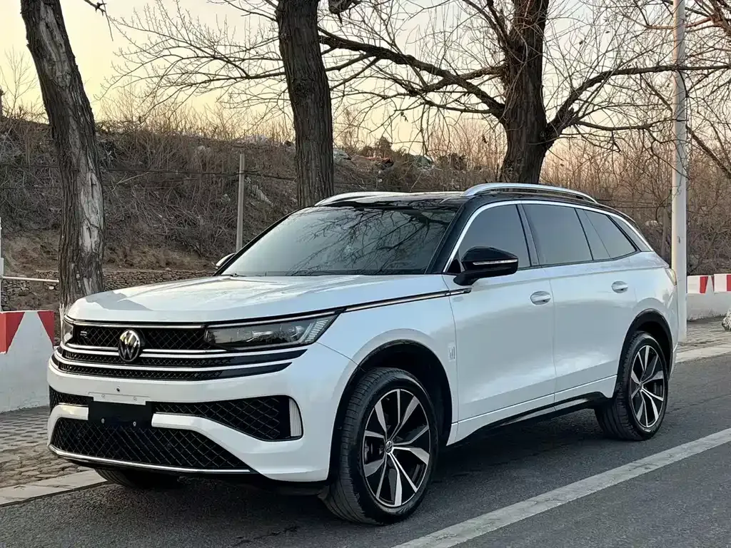 Volkswagen Tavendor 2023 из CN, фото 1